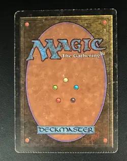 MTG Forest Beta with crimp Signed major misprint - Image 3