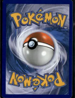 Froakie 4/12 Promo McDonald's Promos 2014 004/012 Water Holo Pokemon Card - Image 2