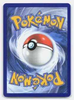 Squirtle 039 Holo Promo ME: Mega Evolution Promo Pokemon Near Mint - Image 2
