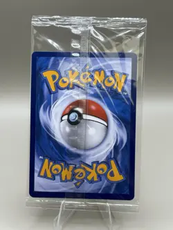 Pokemon S-Chinese Card CSMC 001/012 Charizard With Keychain Card Guard Display - Image 2