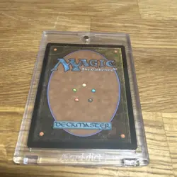 Wizards of the Coast MTG Radagast the Brown Mythic Foil Borderless 0740 LOTR - Image 2