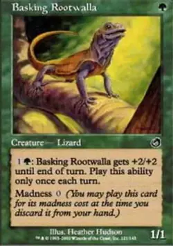 Basking Rootwalla 4x MTG Torment NM Magic The Gathering Playset - Image 1