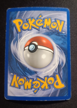 Pokemon Raikou 28/144 Skyridge - Reverse Holo ENG Front EXC Back MP- - Image 2