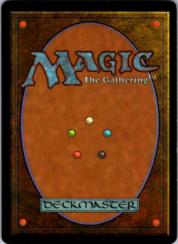 Forest Foil L Mercadian Masques 347 NM - Image 2