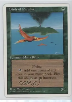 Birds of Paradise Magic: 4th Edition 1995 - Image 1