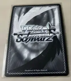 Weiss schwarz Frieren Beyond Journey's End Frieren SFN/S108-002SEC SEC Signed - Image 2