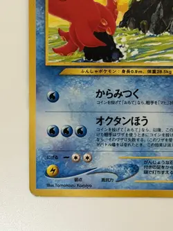 Octillery No. 224 Old Back Vintage Japanese Pokemon card from Japan - Image 4