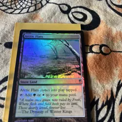 MTG Arctic Flats Coldsnap 143/155 Foil Uncommon - Image 2