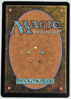 Frost Marsh Foil Magic the Gathering Cold Snap Ice Age Uncommon MTG Land - Image 2