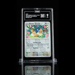 TAG 9.0 MINT Eevee 2024 Pokemon Pokemon Scarlet & Violet #050 - Image 1