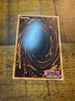 Des Koala 5DS2-EN011 1st Edition Common LP + BONUS - Image 2