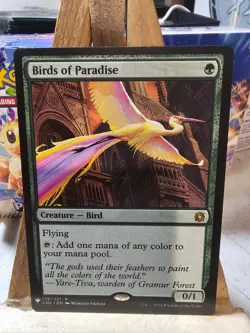 MTG: The List Reprints: Birds of Paradise NM - Image 1