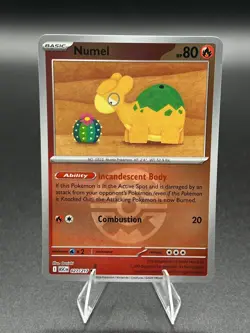 Numel (Quick Ball) 027/217 Holo Common Ascended Heroes Pokemon Reverse Holo NM - Image 1