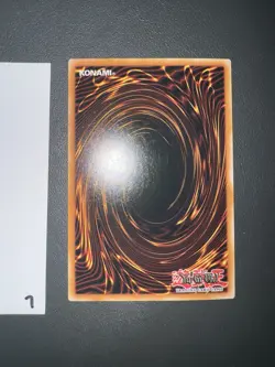 YuGiOh! Blue-Eyes White Dragon MAGO-IT001 Gold Rare Italian 1st Edition NM - Image 2