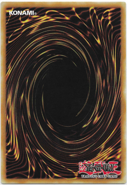 YuGiOH : Radiant Typhoon Mandate : DOOD-EN076 : Common : 1st Edition - Image 2