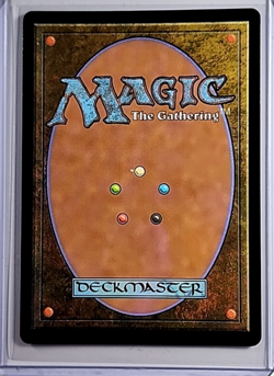 2024 MTG Magic the Gathering Secret Lair Drop Rainbow Foil #824 Evolving Wilds - Image 2