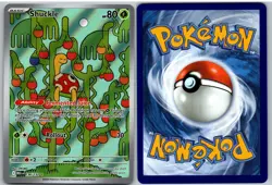 Shuckle 136/132 Illustration Rare Mega Evolution Pokemon NM - Image 3