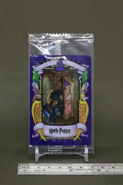 Fat Lady Portrait Harry Potter Chocolate Frog Card Unopened USJ Warner 25 - Image 2