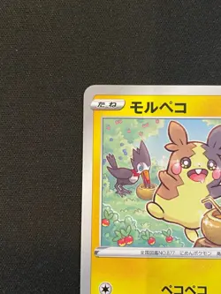 Morpeko 107/S-P 2020 Friendly Shop Promo Japanese Pokemon Card - Image 3