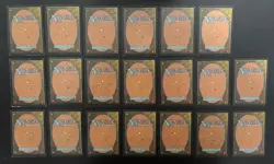 MTG 20X JAPANESE TEMPEST FOREST MAGIC THE GATHERING BASIC LAND COMMON CARDS - Image 2