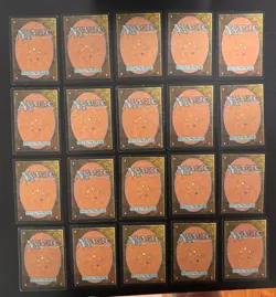 MTG 20X JAPANESE TEMPEST PLAINS MAGIC THE GATHERING BASIC LAND COMMON CARDS - Image 3
