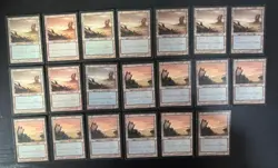 MTG 20X JAPANESE TEMPEST SWAMP MAGIC THE GATHERING BASIC LAND COMMON CARDS - Image 3