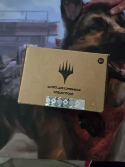 MTG Goblinstorm Secret Lair Deck In HAND - Image 2