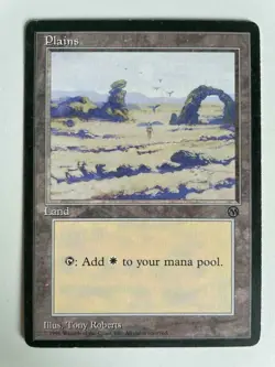MTG PROMO ARENA DCI PLAINS EX- MAGIC THE GATHERING 1996 BASIC LAND SPECIAL - Image 3