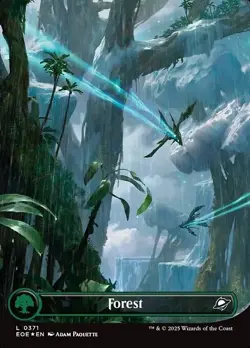 MTG - EOE - Forest Collection - Borderless - Near Mint (NM) - 13 Cards - Image 1