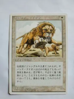 MTG JAPANESE 4TH EDITION SAVANNAH LIONS MINT MAGIC THE GATHERING WHITE BORDERED - Image 3