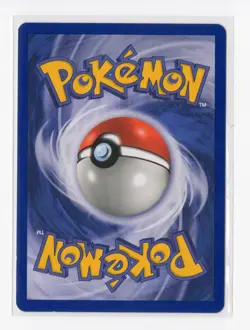 Pokemon Articuno Zapdos Moltres Black Star Promo 21 22 23 NM WOTC Vintage - Image 5