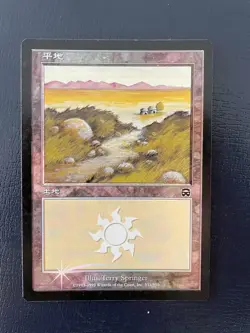 MTG JAPANESE FOIL MERCADIAN MASQUES PLAINS NM #331 MAGIC THE GATHERING LAND - Image 5