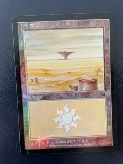 MTG JAPANESE FOIL MERCADIAN MASQUES PLAINS NM #334 MAGIC THE GATHERING LAND - Image 5