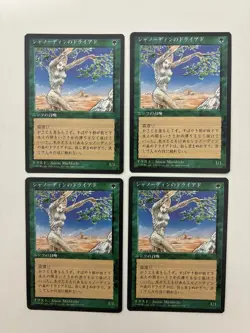 MTG 4X JAPANESE BLACK BORDERED SHANODIN DRYADS NM FBB MAGIC THE GATHERING GREEN - Image 4