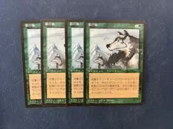 MTG 4X JAPANESE BLACK BORDERED ASPECT OF WOLF NM FBB MAGIC THE GATHERING RARE - Image 3