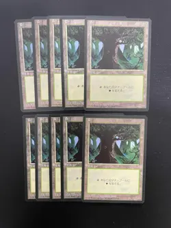 MTG 10X JAPANESE BLACK BORDERED FOREST NM FBB MAGIC THE GATHERING BASIC LAND #A - Image 4