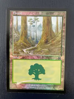 MTG FOIL MERCADIAN MASQUES FOREST NM MAGIC THE GATHERING #349/350 LAND COMMON - Image 5