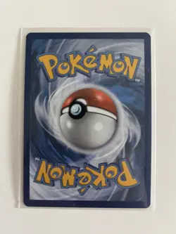 Chatot 181/162 Illustration Rare Holo Near Mint Condition Temporal Forces - Image 2