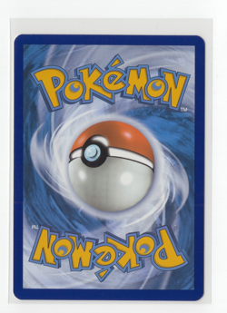 Pokemon TCG Bidoof GG29/GG70 Crown Zenith Illustration Rare Nm - Image 2