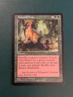 MTG Natural Order Visions Rare LP Original 1997 Magic the Gathering - Image 1