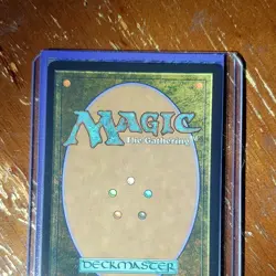Finneas, Ace Archer Bloomburrow Borderless Raised Foil Rare Legendary #348 - Image 2