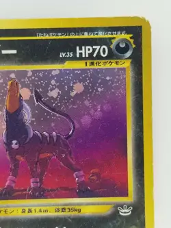 Houndoom Japanese Pokemon card Nintendo Holo Rare NO.229 LV.35 HP70 TCG F/S - Image 3