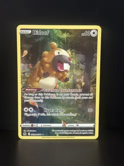 Bidoof Holo Ultra Rare Pokemon SWSH: Crown Zenith: Galarian Gallery GG29/GG70 NM - Image 1