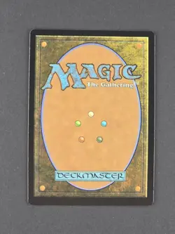 MTG Sword of Hearth and Home Borderless P0136 TMNT Promo - Image 2