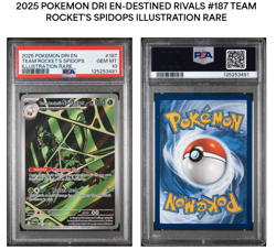 2025 Pokemon Destined Rival Team Rocket Spidops 187/182 Illustration Rare PSA 10 - Image 3