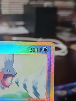Pokemon TCG EX Dragon Mudkip #65/97 Reverse Holo Vintage WOTC E-Reader Hp - Image 4