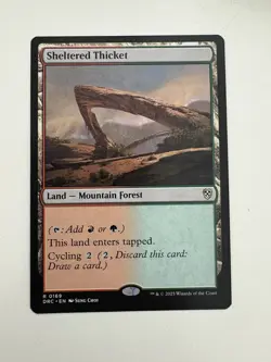 Sheltered Thicket MTG Magic the Gathering Card NM Near Mint DRC - Image 1
