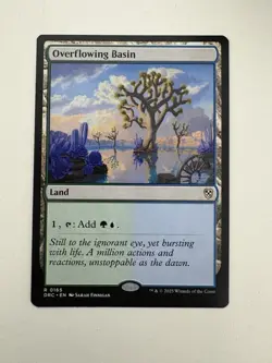 Overflowing Basin MTG Magic the Gathering Card NM Near Mint DRC - Image 1