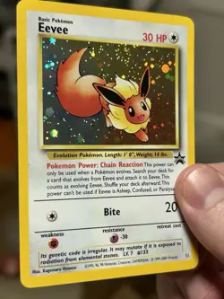 Eevee #11 WOTC Black Star Promo - Pokemon TCG - 2000 - LP - Image 3
