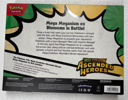 Pokemon TCG Ascended Heroes 2 EX Box Bundle + First Partner Series 1 Sealed Lot - Image 5
